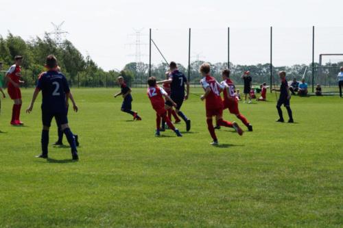 2019-06-01 vfl-stenum-d2-vfl-wildeshausen-d2 web 021