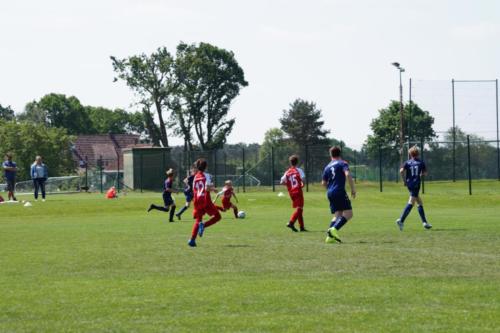 2019-06-01 vfl-stenum-d2-vfl-wildeshausen-d2 web 067