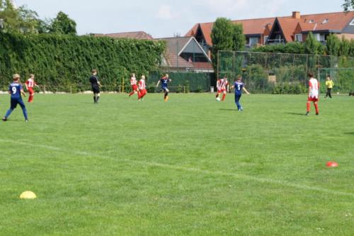 2019-06-16 construktiv-sommer-cup vfl-stenum-d2 tv-jahn-delmenhorst-d3 web 042