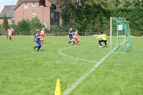 2019-06-16 construktiv-sommer-cup vfl-stenum-d2 tv-jahn-delmenhorst-d3 web 071