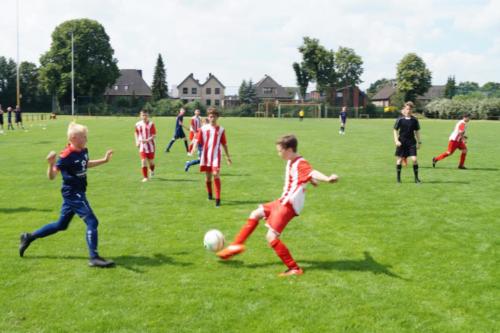 2019-06-16 construktiv-sommer-cup vfl-stenum-d2 tv-jahn-delmenhorst-d3 web 094