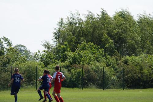 2019-06-01 vfl-stenum-d2-vfl-wildeshausen-d2 web 104
