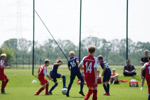 2019-06-01 vfl-stenum-d2-vfl-wildeshausen-d2 web 113