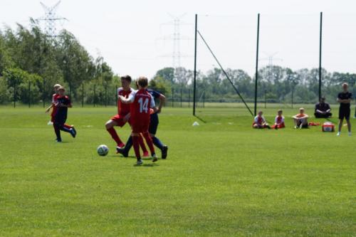 2019-06-01 vfl-stenum-d2-vfl-wildeshausen-d2 web 116