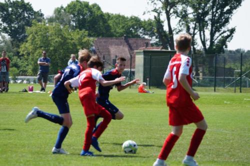 2019-06-01 vfl-stenum-d2-vfl-wildeshausen-d2 web 118