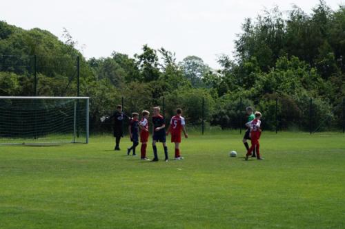 2019-06-01 vfl-stenum-d2-vfl-wildeshausen-d2 web 132