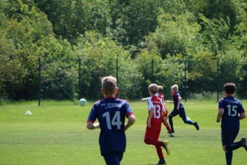2019-06-01 vfl-stenum-d2-vfl-wildeshausen-d2 web 144