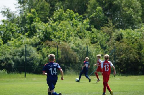 2019-06-01 vfl-stenum-d2-vfl-wildeshausen-d2 web 145