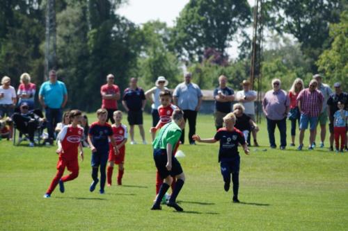 2019-06-01 vfl-stenum-d2-vfl-wildeshausen-d2 web 147