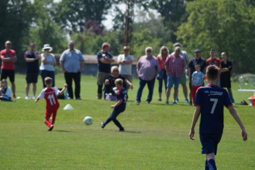 2019-06-01 vfl-stenum-d2-vfl-wildeshausen-d2 web 151