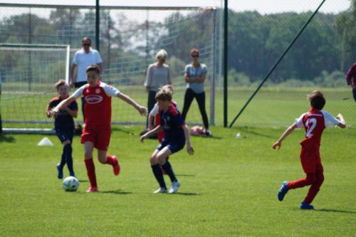 2019-06-01 vfl-stenum-d2-vfl-wildeshausen-d2 web 154