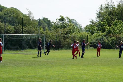2019-06-01 vfl-stenum-d2-vfl-wildeshausen-d2 web 160