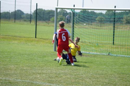2019-06-01 vfl-stenum-d2-vfl-wildeshausen-d2 web 163