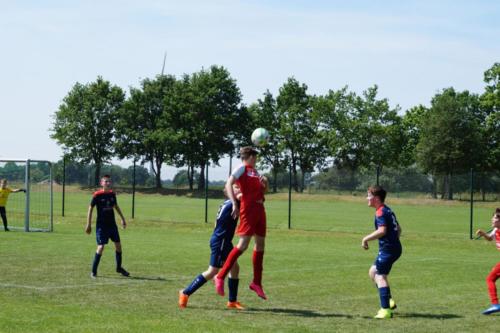 2019-06-01 vfl-stenum-d2-vfl-wildeshausen-d2 web 168