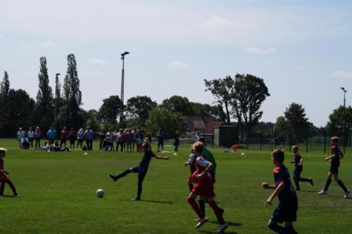 2019-06-01 vfl-stenum-d2-vfl-wildeshausen-d2 web 169
