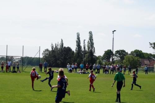 2019-06-01 vfl-stenum-d2-vfl-wildeshausen-d2 web 170