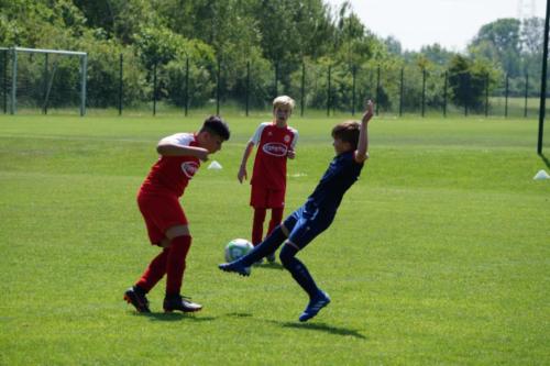 2019-06-01 vfl-stenum-d2-vfl-wildeshausen-d2 web 178
