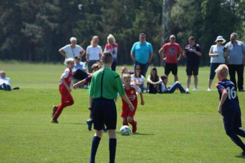 2019-06-01 vfl-stenum-d2-vfl-wildeshausen-d2 web 179