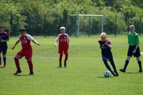 2019-06-01 vfl-stenum-d2-vfl-wildeshausen-d2 web 186