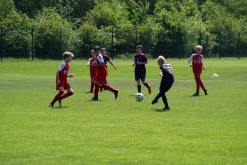 2019-06-01 vfl-stenum-d2-vfl-wildeshausen-d2 web 187