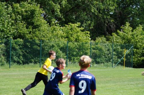2019-06-01 vfl-stenum-d2-vfl-wildeshausen-d2 web 208