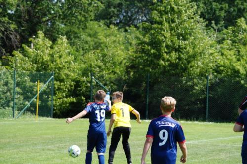 2019-06-01 vfl-stenum-d2-vfl-wildeshausen-d2 web 210
