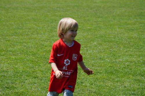 2019-06-01 vfl-stenum-d2-vfl-wildeshausen-d2 web 223