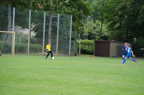 2019-06-16 construktiv-sommer-cup vfl-stenum-d2 tv-jahn-delmenhorst-d3 web 135