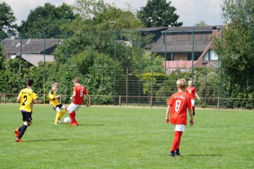 2019-06-16 construktiv-sommer-cup vfl-stenum-d2 tv-jahn-delmenhorst-d3 web 224