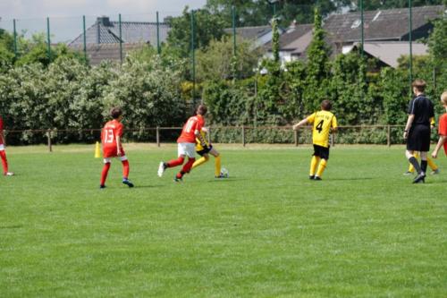 2019-06-16 construktiv-sommer-cup vfl-stenum-d2 tv-jahn-delmenhorst-d3 web 229