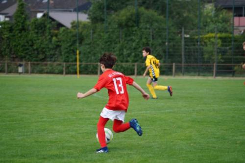 2019-06-16 construktiv-sommer-cup vfl-stenum-d2 tv-jahn-delmenhorst-d3 web 241