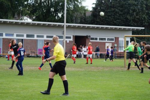 2019-06-16 construktiv-sommer-cup vfl-stenum-d2 tv-jahn-delmenhorst-d3 web 321