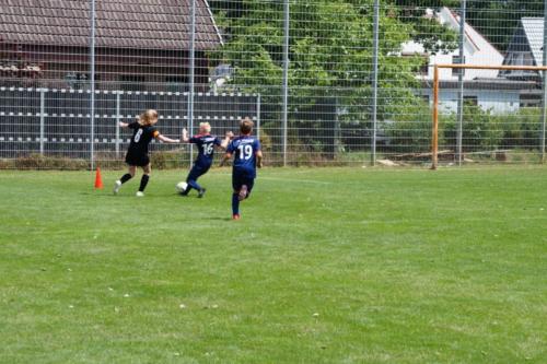 2019-06-16 construktiv-sommer-cup vfl-stenum-d2 tv-jahn-delmenhorst-d3 web 339