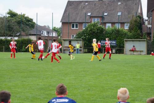2019-06-16 construktiv-sommer-cup vfl-stenum-d2 tv-jahn-delmenhorst-d3 web 393