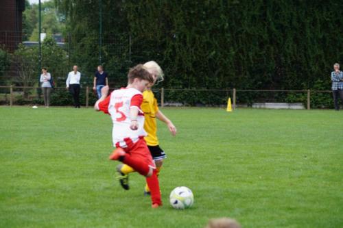 2019-06-16 construktiv-sommer-cup vfl-stenum-d2 tv-jahn-delmenhorst-d3 web 395