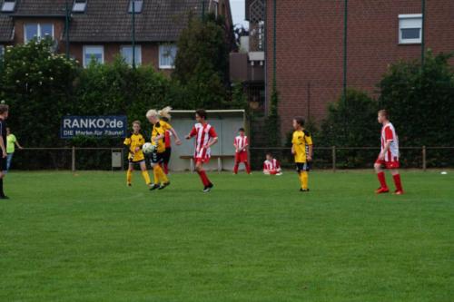 2019-06-16 construktiv-sommer-cup vfl-stenum-d2 tv-jahn-delmenhorst-d3 web 416