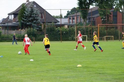 2019-06-16 construktiv-sommer-cup vfl-stenum-d2 tv-jahn-delmenhorst-d3 web 425