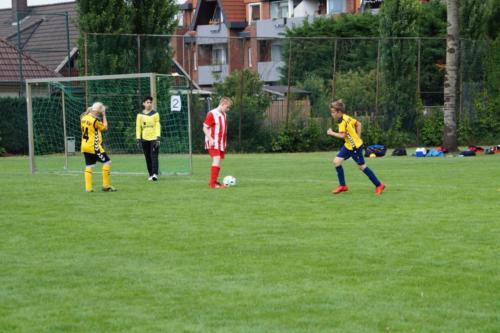 2019-06-16 construktiv-sommer-cup vfl-stenum-d2 tv-jahn-delmenhorst-d3 web 431