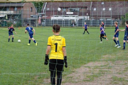 2019-06-16 construktiv-sommer-cup vfl-stenum-d2 tv-jahn-delmenhorst-d3 web 443