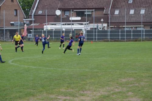 2019-06-16 construktiv-sommer-cup vfl-stenum-d2 tv-jahn-delmenhorst-d3 web 478