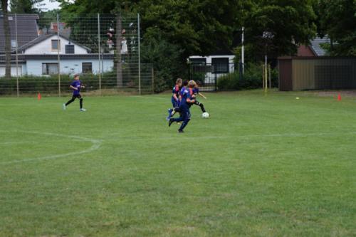 2019-06-16 construktiv-sommer-cup vfl-stenum-d2 tv-jahn-delmenhorst-d3 web 482