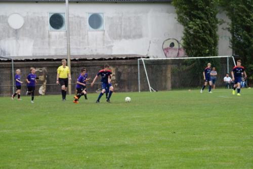 2019-06-16 construktiv-sommer-cup vfl-stenum-d2 tv-jahn-delmenhorst-d3 web 519