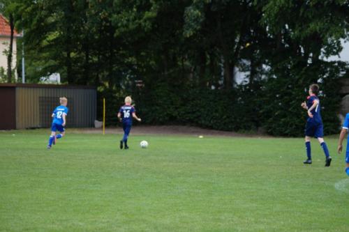 2019-06-16 construktiv-sommer-cup vfl-stenum-d2 tv-jahn-delmenhorst-d3 web 543