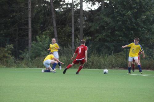 2019-07-20 vfl-stenum-b1 damme 107
