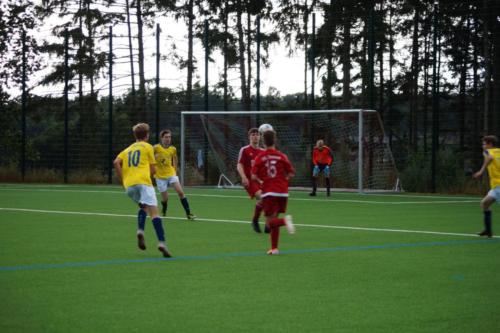 2019-07-20 vfl-stenum-b1 damme 131